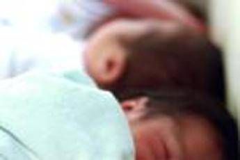 Neonati prematuri uccisi da batterio a Bolzano, cos’è il Serratia marcescens