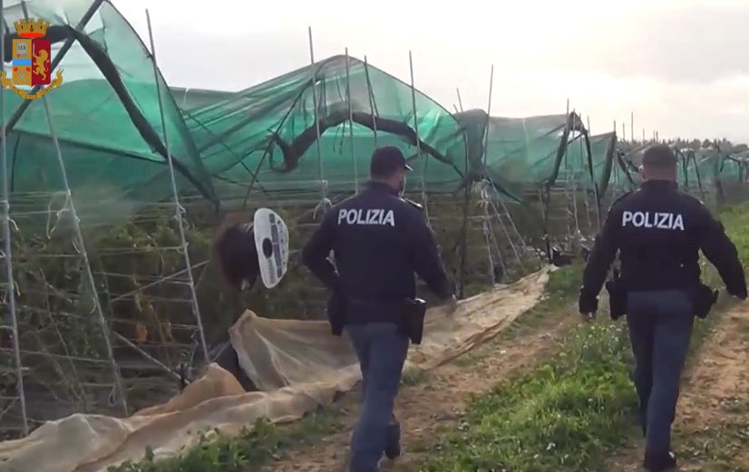 Sfruttavano braccianti pagandoli 5 euro l’ora, due denunce nel Nisseno