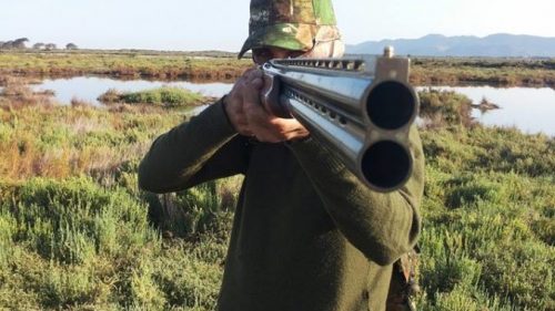 Sicilia, CGA sospende la stagione della caccia: troppi incendi hanno danneggiato la fauna