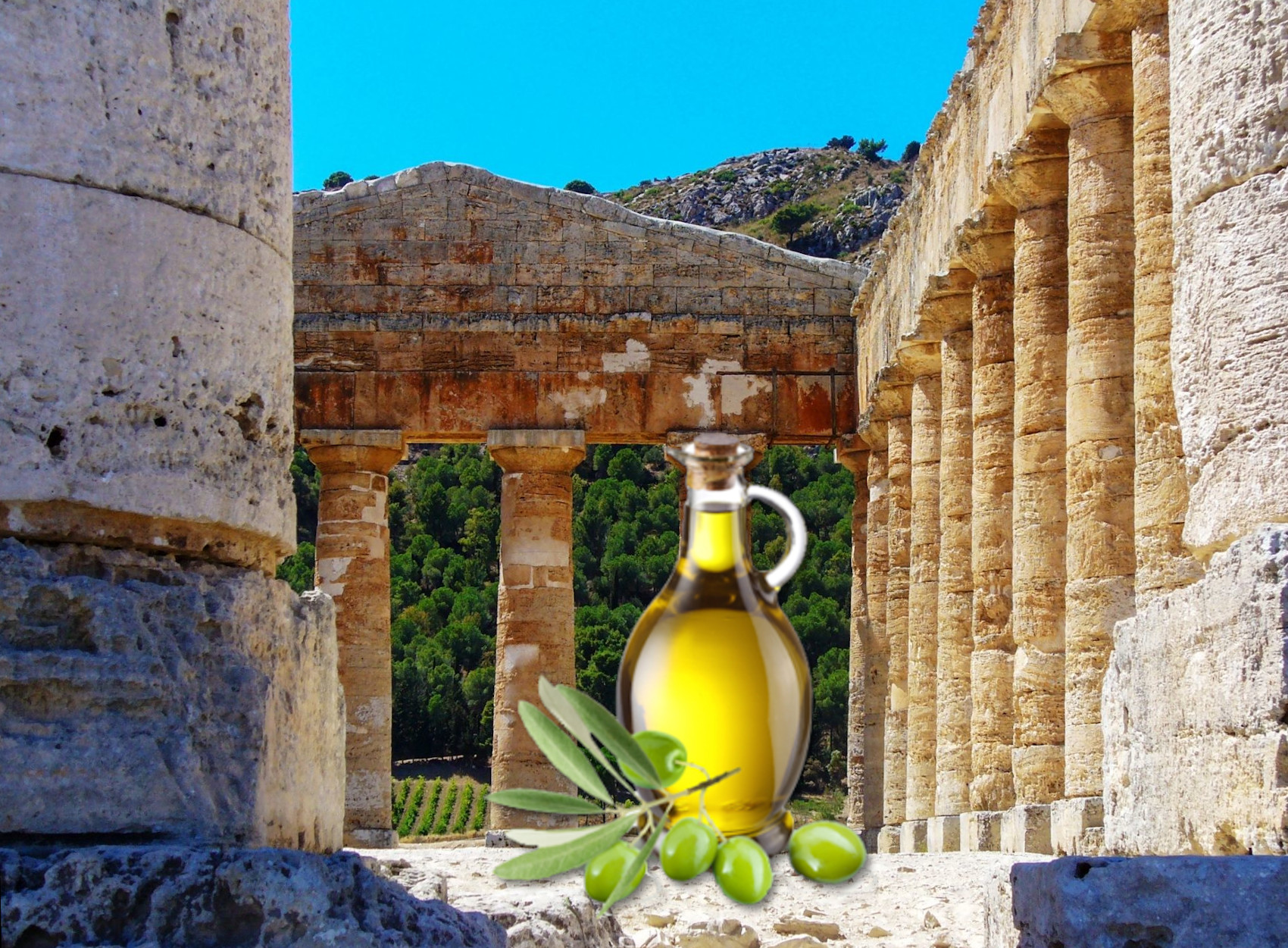 Sicilia, Archeologia: il Parco di Segesta produce il primo olio