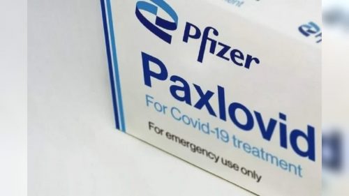 Arriva domani in Italia la pillola anti Covid Pfizer Paxlovid