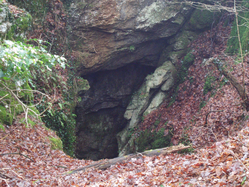 Vittime delle foibe. L’ANPI: “Ricordo si, ma anche verità e conoscenza dei fatti storici”