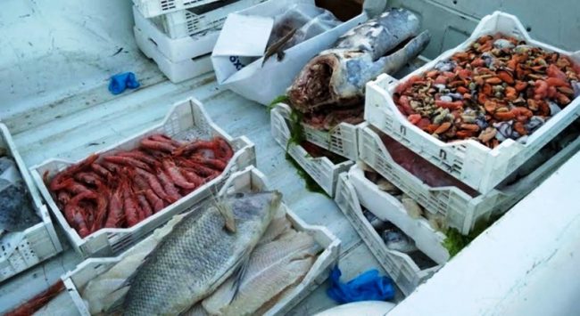 Nel Nisseno sequestrato dalla Guardia Costiera un quintale e mezzo di prodotto ittico privo di tracciabilità