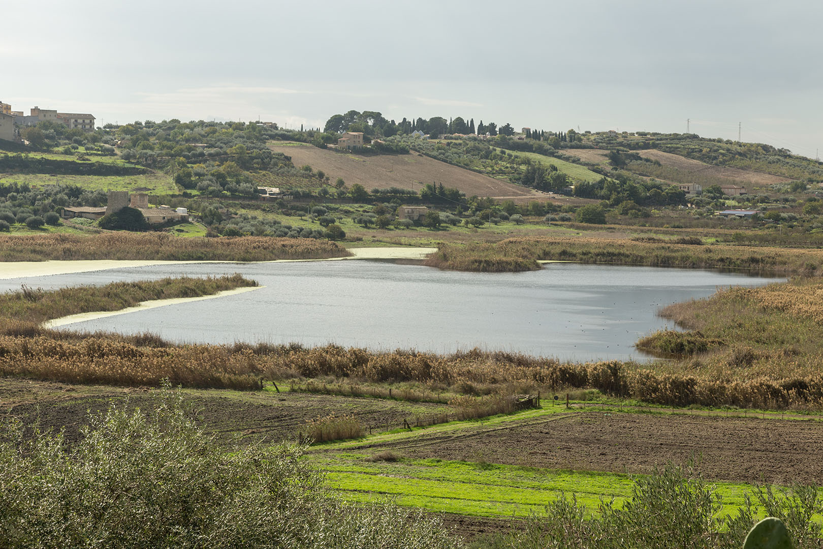 A Serradifalco un evento per far conoscere meglio il Lago Soprano in occasione della Giornata Mondiale delle Zone Umide