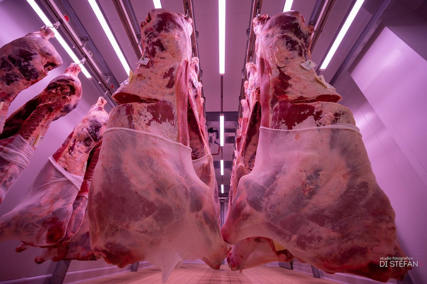 Sicilia, mancano gli addetti alla macellazione. Avviato un corso di formazione finalizzato all’assunzione