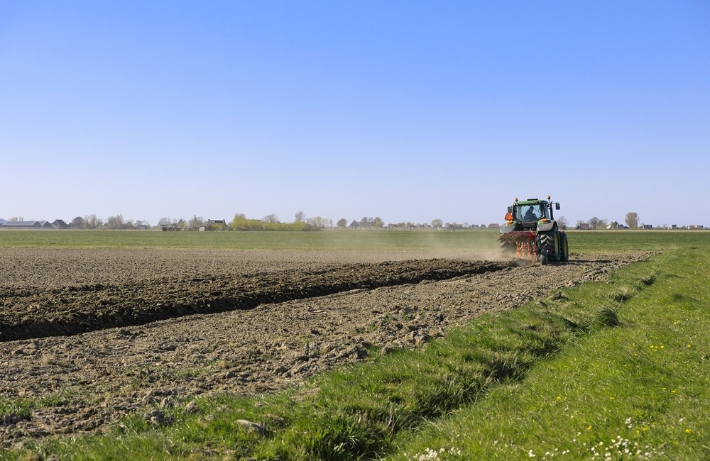 L’Italia scommette sull’agricoltura con terreni all’asta: Caltanissetta interessata per il 21% delle superfici