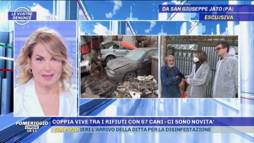 Sicilia, marito e moglie vivono con 67 cani tra i rifiuti: le telecamere di Pomeriggio Cinque a San Giuseppe Jato