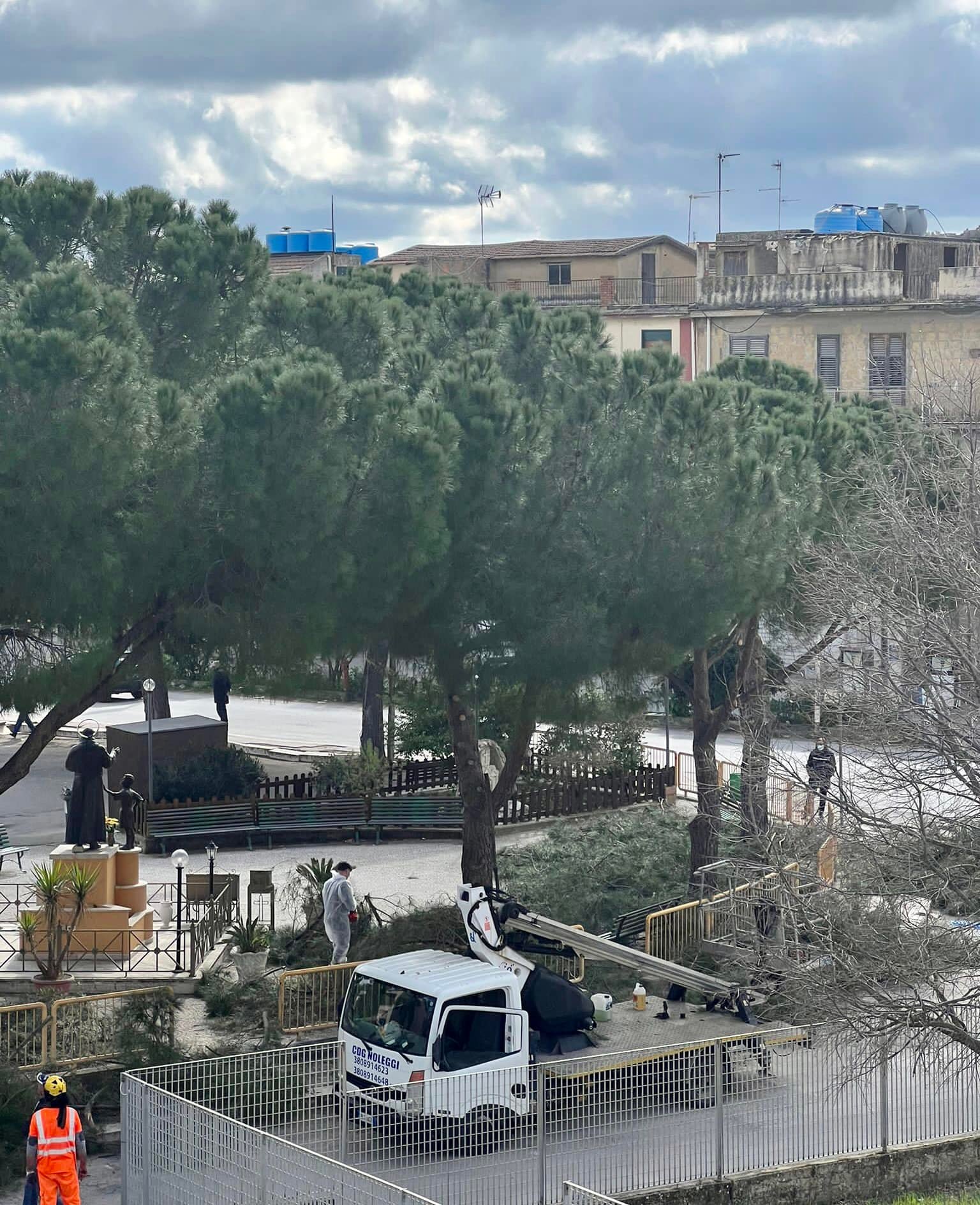 Sommatino. Precisazioni del sindaco su interventi alle alberature: “Decisioni prese a malincuore; pericoli anche per l’incolumità pubblica”