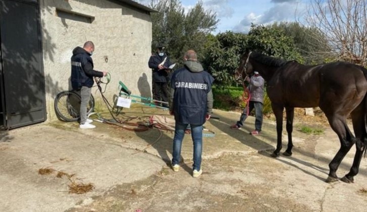 Sicilia, corse clandestine: cavalli mafia e neomelodici, tre indagati