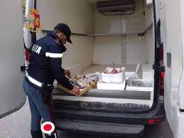 Sicilia, sequestro 100 kg pesce surgelato: due denunce nel Messinese