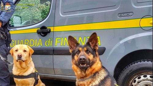 Sicilia, traffico di cocaina agli imbarcaderi: due donne arrestate, determinante il fiuto di Dandy, Ghimly e Dia