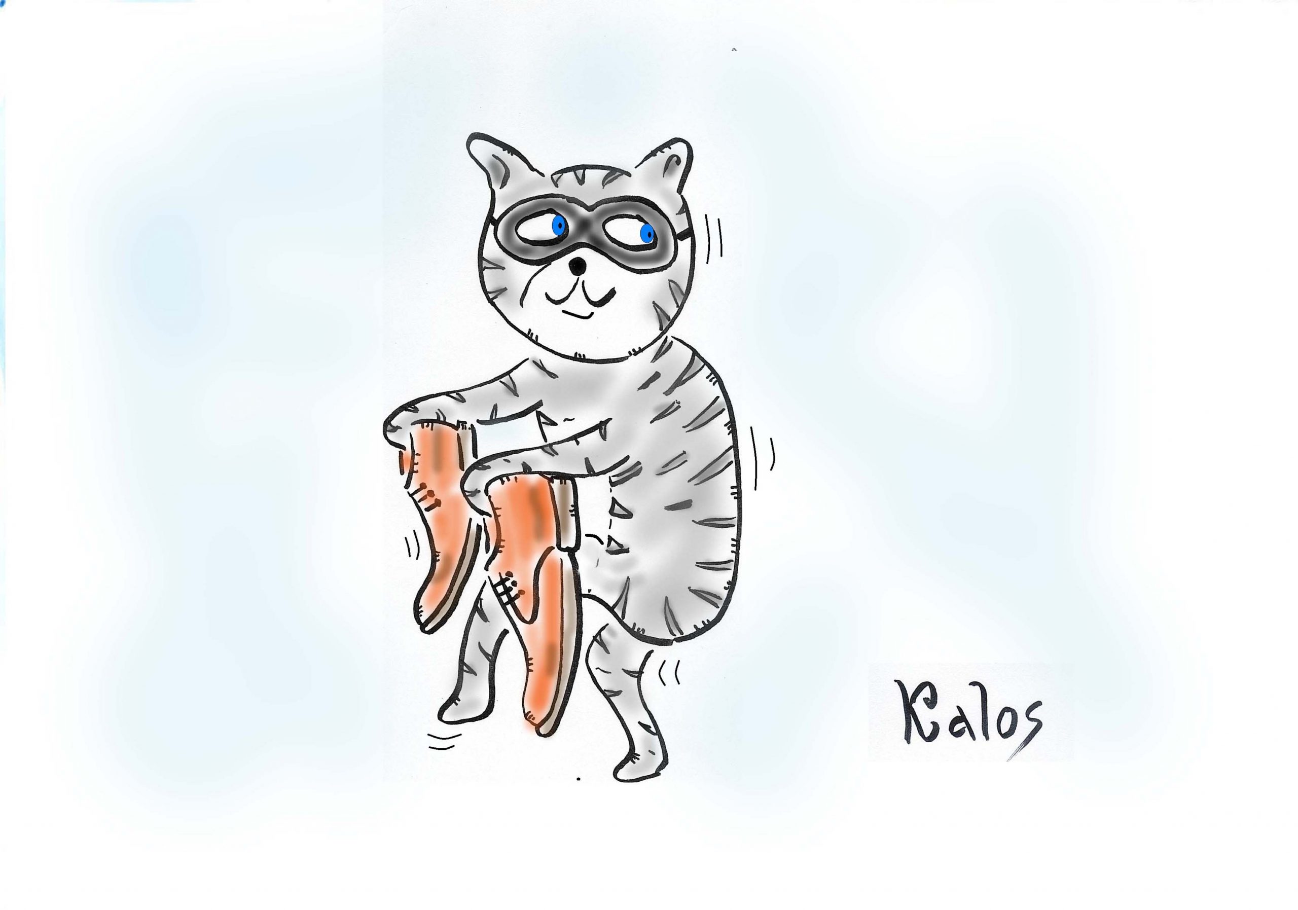 Una strana denuncia…