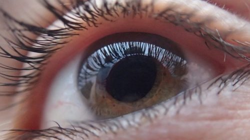 Caltanissetta. L’Unione Italiana Ciechi promuove controlli oculistici per contrastare il glaucoma