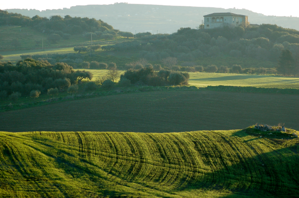 Caltanissetta. Dal 31 marzo al 2 aprile c’è l’evento “Aspettando Terra Madre”