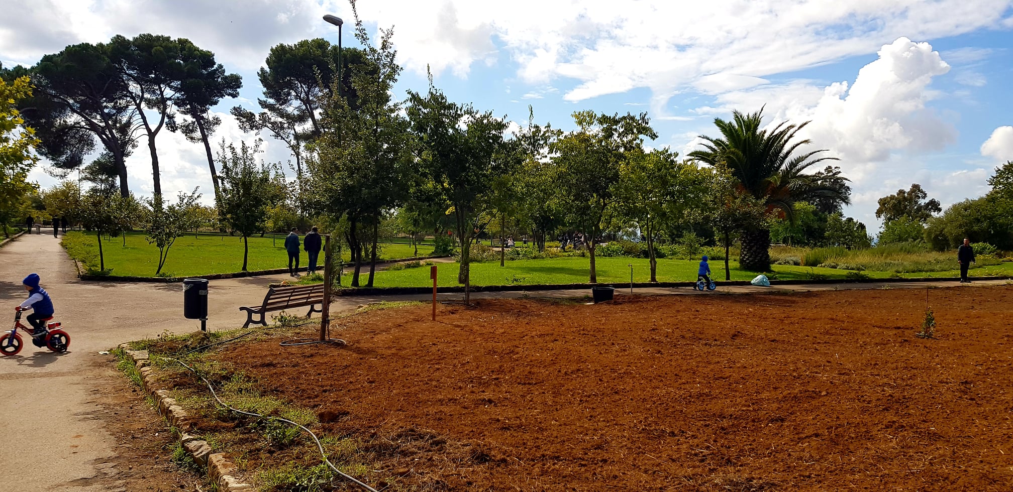 Caltanissetta. Grande successo del “Villaggio sportivo itinerante” al Parco Dubini con il progetto “Re-Includiamoci oltre le barriere”