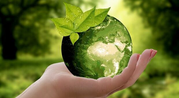 Rivoluzione Green: le abitudini per salvare il pianeta