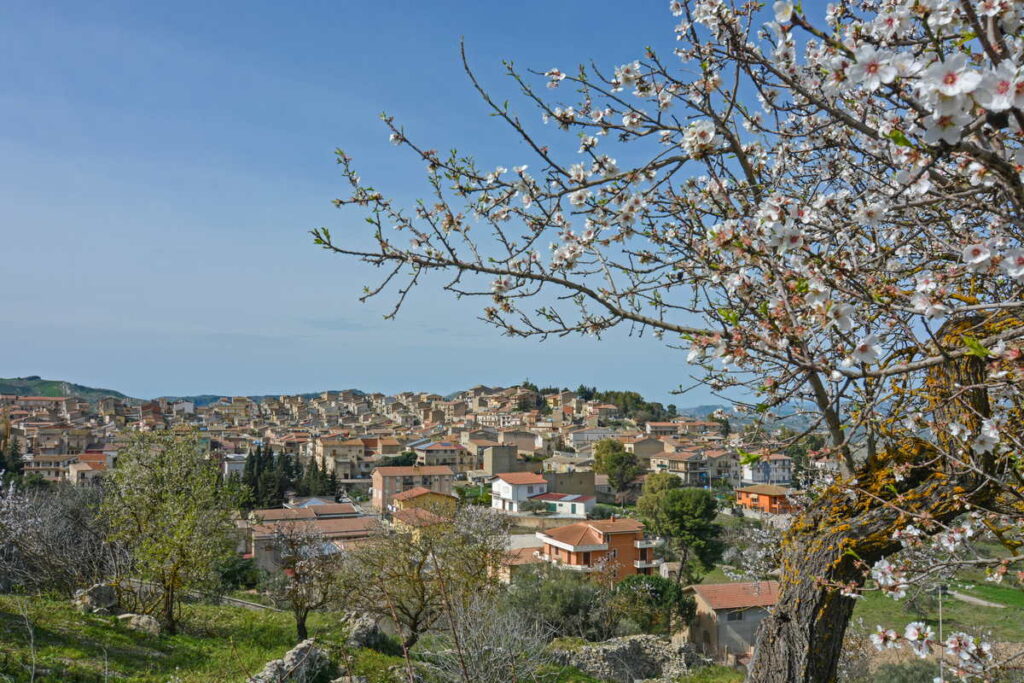 Montedoro. C’è la proposta progettuale anche per la manutenzione straordinaria di Casa Volpe