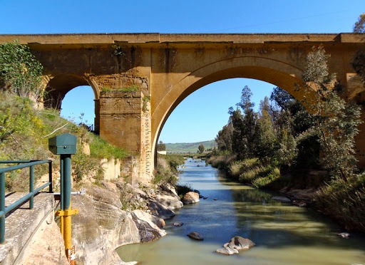 Sicilia, 20 mln per la manutenzione “in house” dei fiumi: Caltanissetta tra le province coinvolte