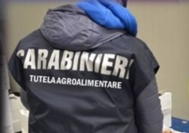 Fondi Unione Europea. Controlli dei Carabinieri per la Tutela Agroalimentare
