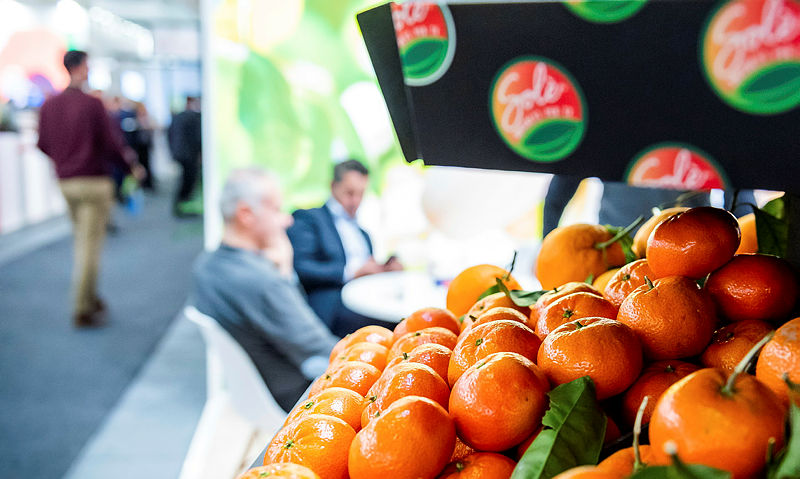 Agroalimentare, la Sicilia alla Fruit Logistica 2022 di Berlino, Scilla: «Grande vetrina per le nostre eccellenze»