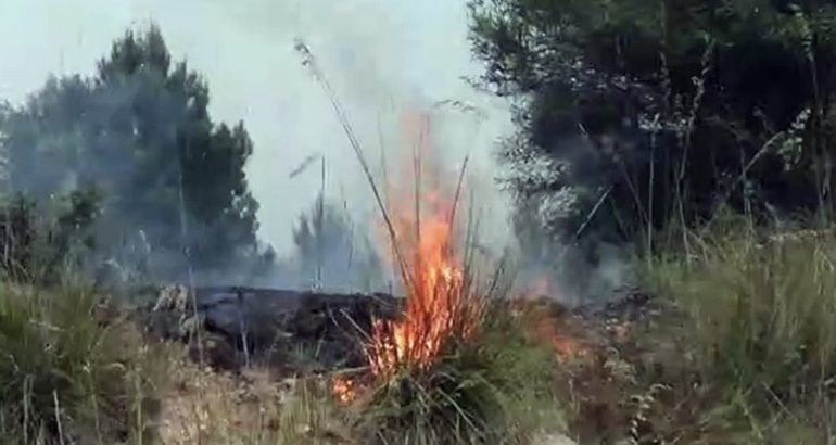 Sicilia, rogo al Monte Erice. Squadre di Vigili del fuoco anche a Caltanissetta