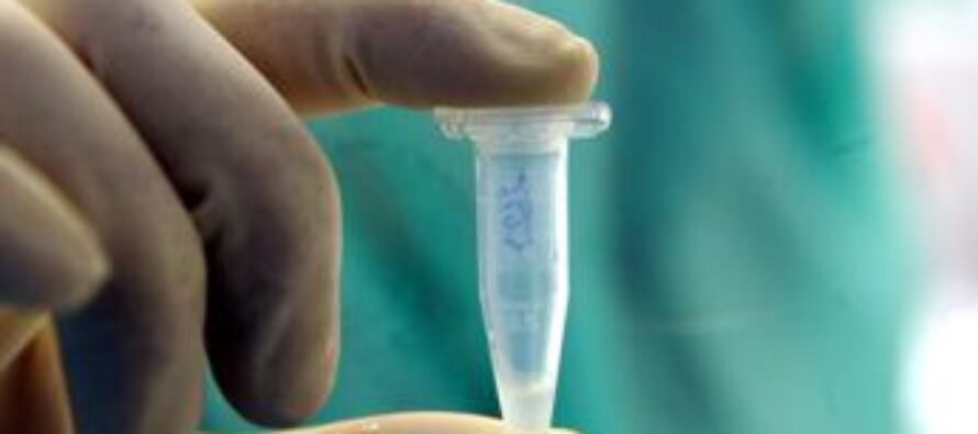 Vaiolo delle scimmie: ancora due nuovi casi in Lombardia