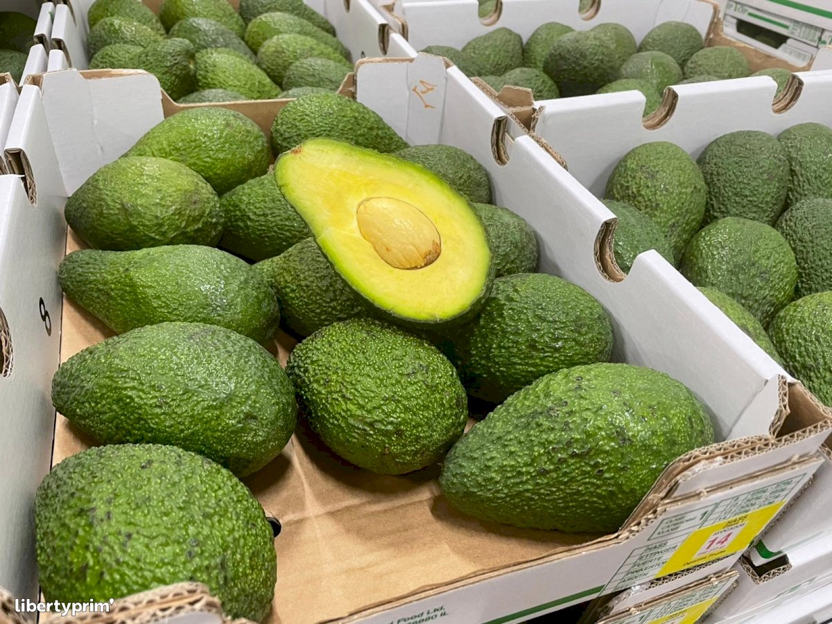 Sicilia, ruba 80 chili di avocado: arrestato 55enne