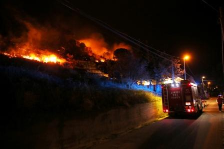 Roghi nel Palermitano, in Sicilia bruciano ettari di vegetazione