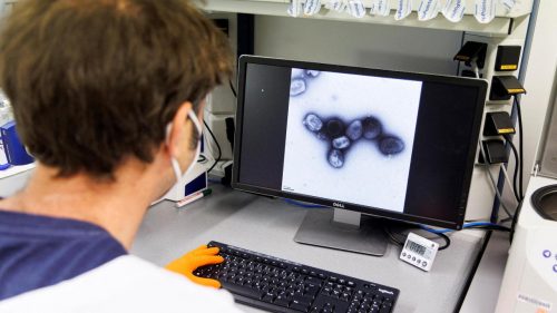 Al San Matteo di Pavia sequenziato l’intero genoma del virus del vaiolo delle scimmie (Mpvx)