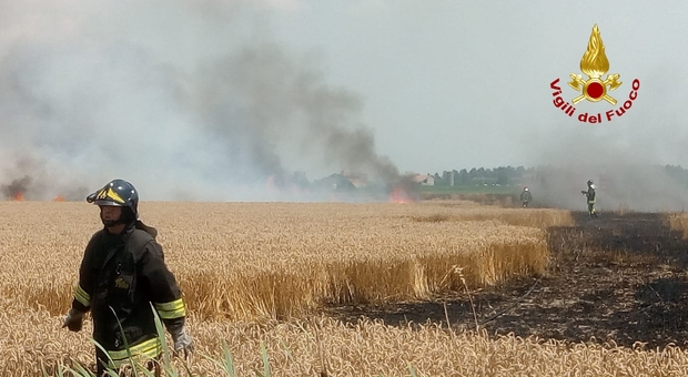 Sicilia, mafia: a fuoco 10 ettari di grano gestiti dalla coop Livatino