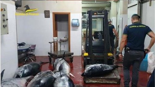 Sicilia, sequestrati 18 esemplari di tonno rosso non tracciato: multa per il titolare della pescheria