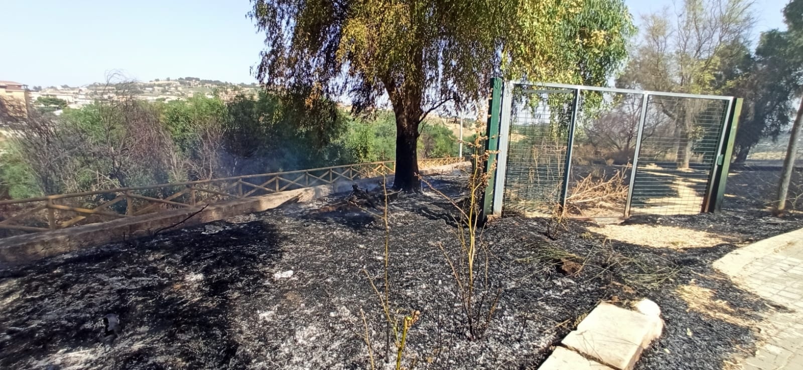 San Cataldo. Incendio oggi pomeriggio al Parco Urbano “Achille Carusi”