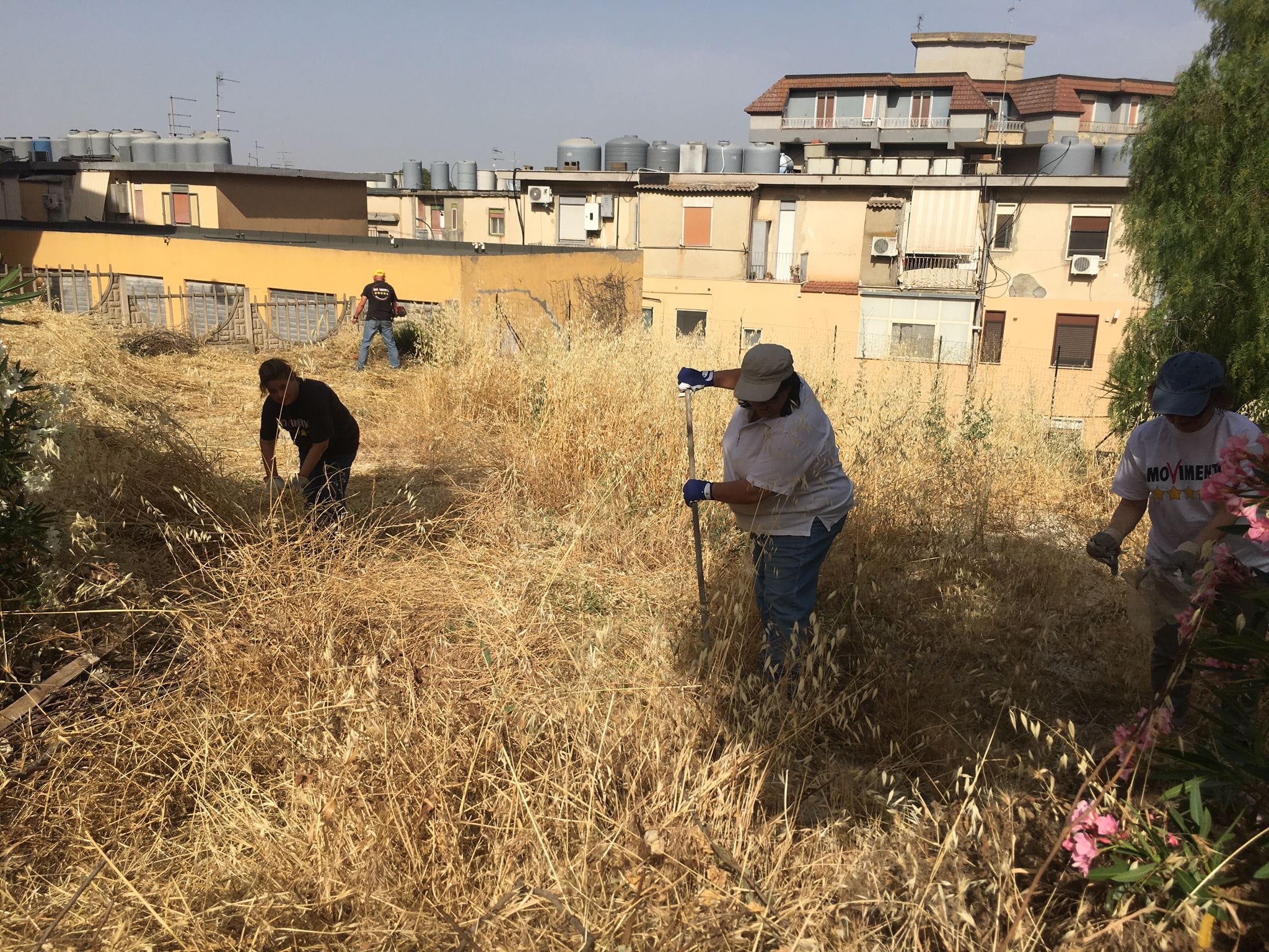 San Cataldo. Attivisti e consiglieri comunali del M5S hanno ripulito da erbacce alcune zone del centro abitato