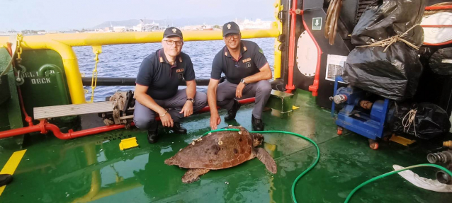 Salvato dalla Polizia un esemplare di specie protetta di tartaruga “Caretta Caretta”