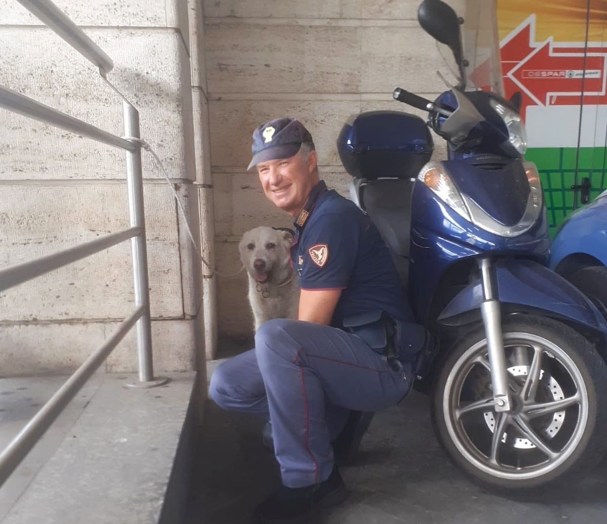 Salvata dalla Polizia ferroviaria cagnolina meticcia impaurita che, impaurita da un temporale, era fuggita di casa salendo e sul convoglio di un treno