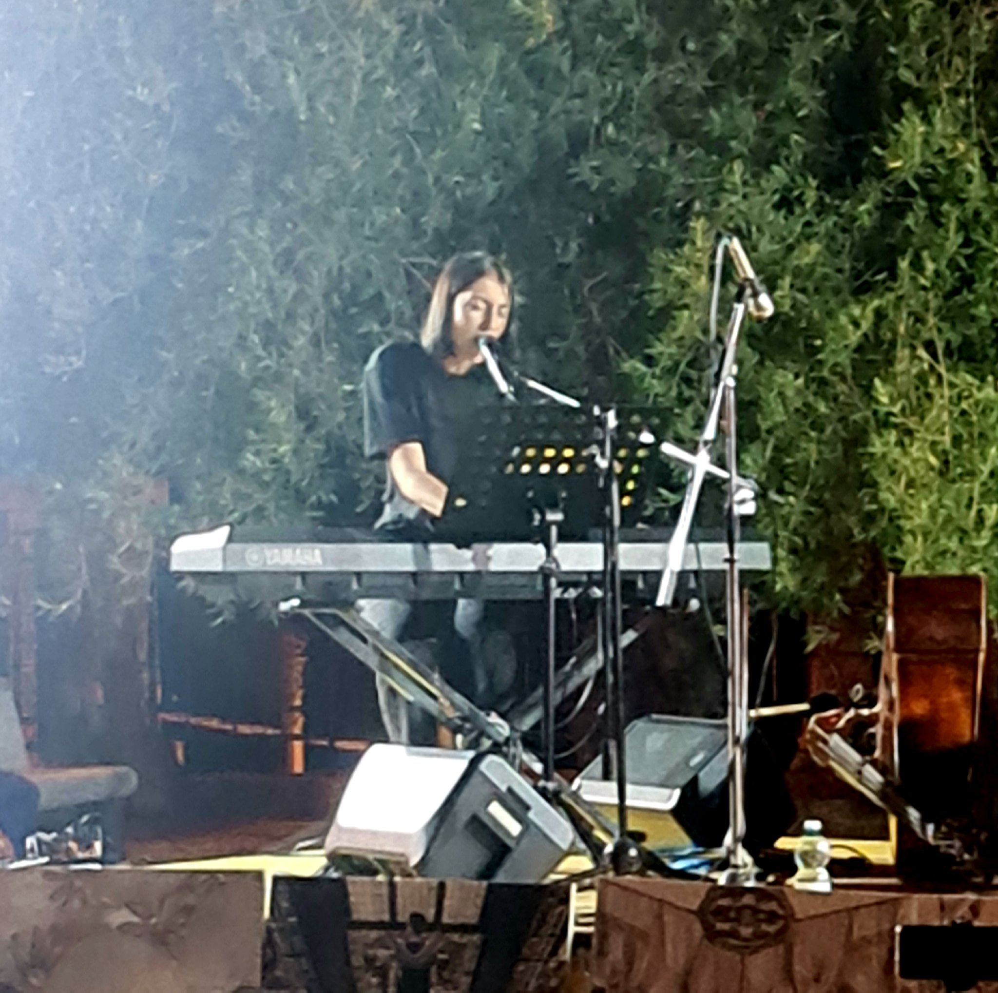 Sommatino. Gran successo per la serata tributo all’artista Stefano Caruana