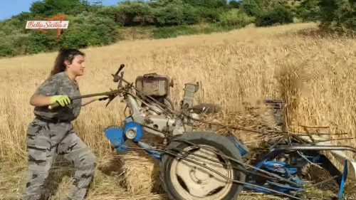 Sicilia, il video di Gloria, una 16enne che miete il grano, spopola sul web