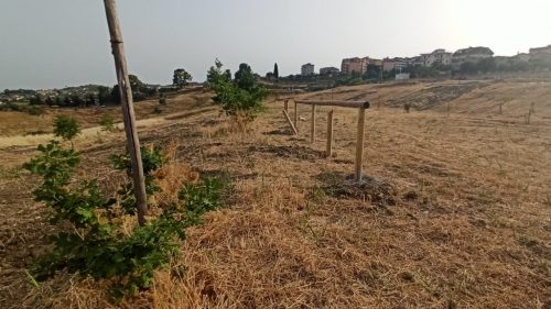 San Cataldo. L’Associazione “Straula” sta ultimando la collocazione della staccionata nel Parco urbano