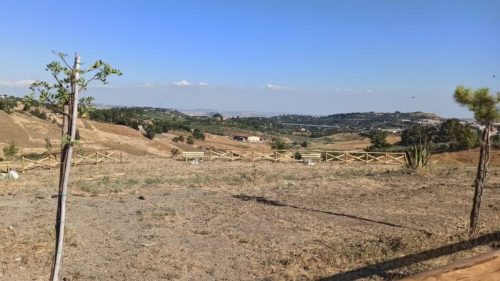 San Cataldo. Per il 20 luglio l’associazione Straula promuove una “Sera al Parco Achille Carusi” per dedicarsi alla crescita del polmone verde cittadino