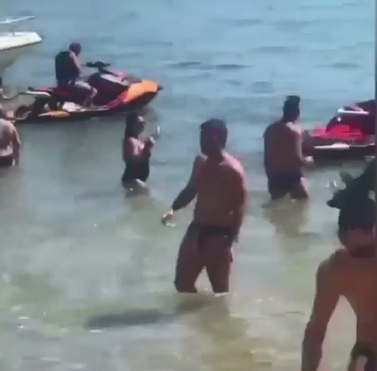 Sicilia. Agrigento, Mareamico: “Riserva Punta Bianca invasa da incivili”, ecco il video