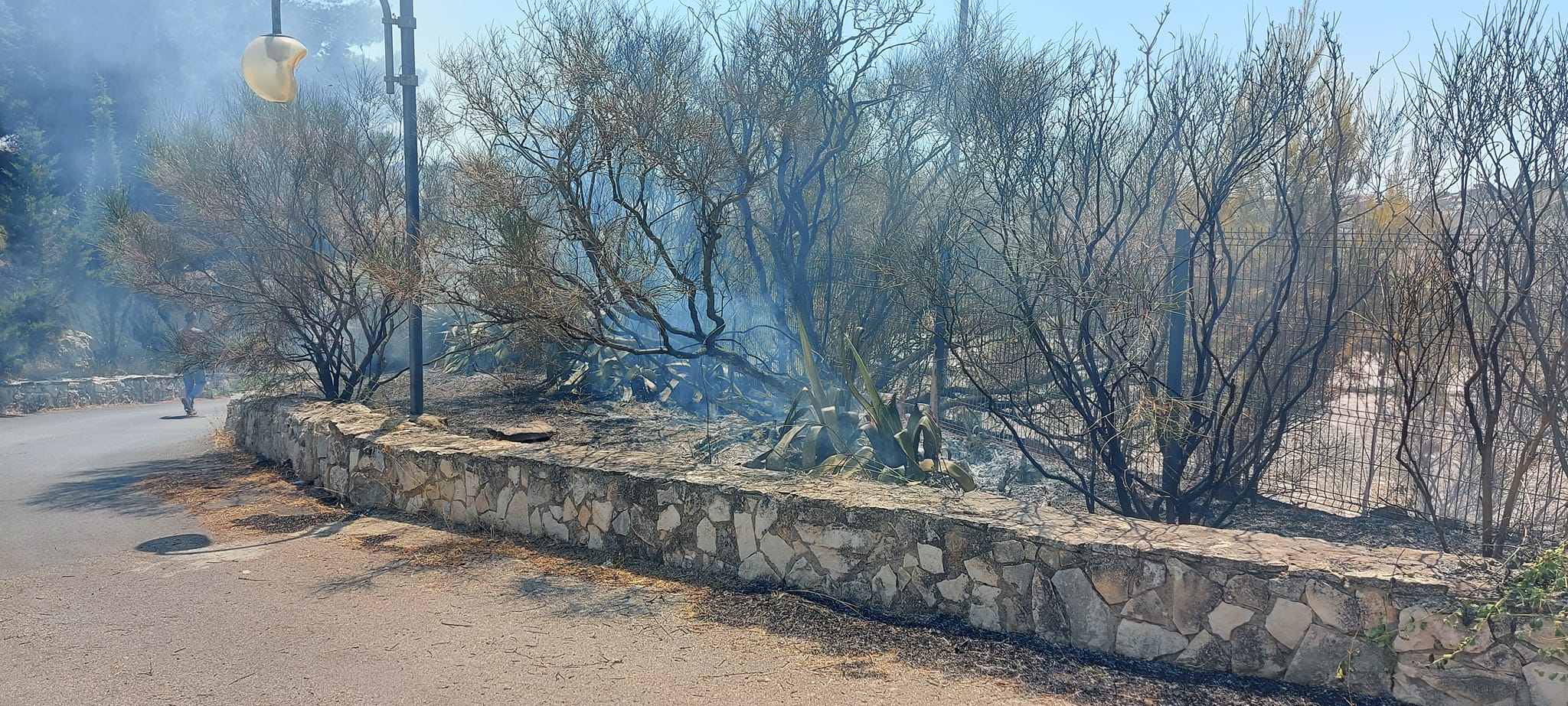 Montedoro. Incendiati alcuni alberi nella pineta del Calvario