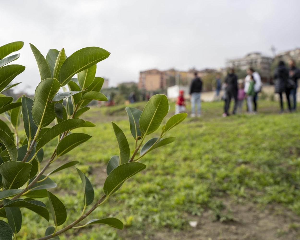 San Cataldo. Stasera nuova iniziativa dell’Associazione “Straula”: tutti al parco urbano “Achille Carusi” per annaffiare gli alberi