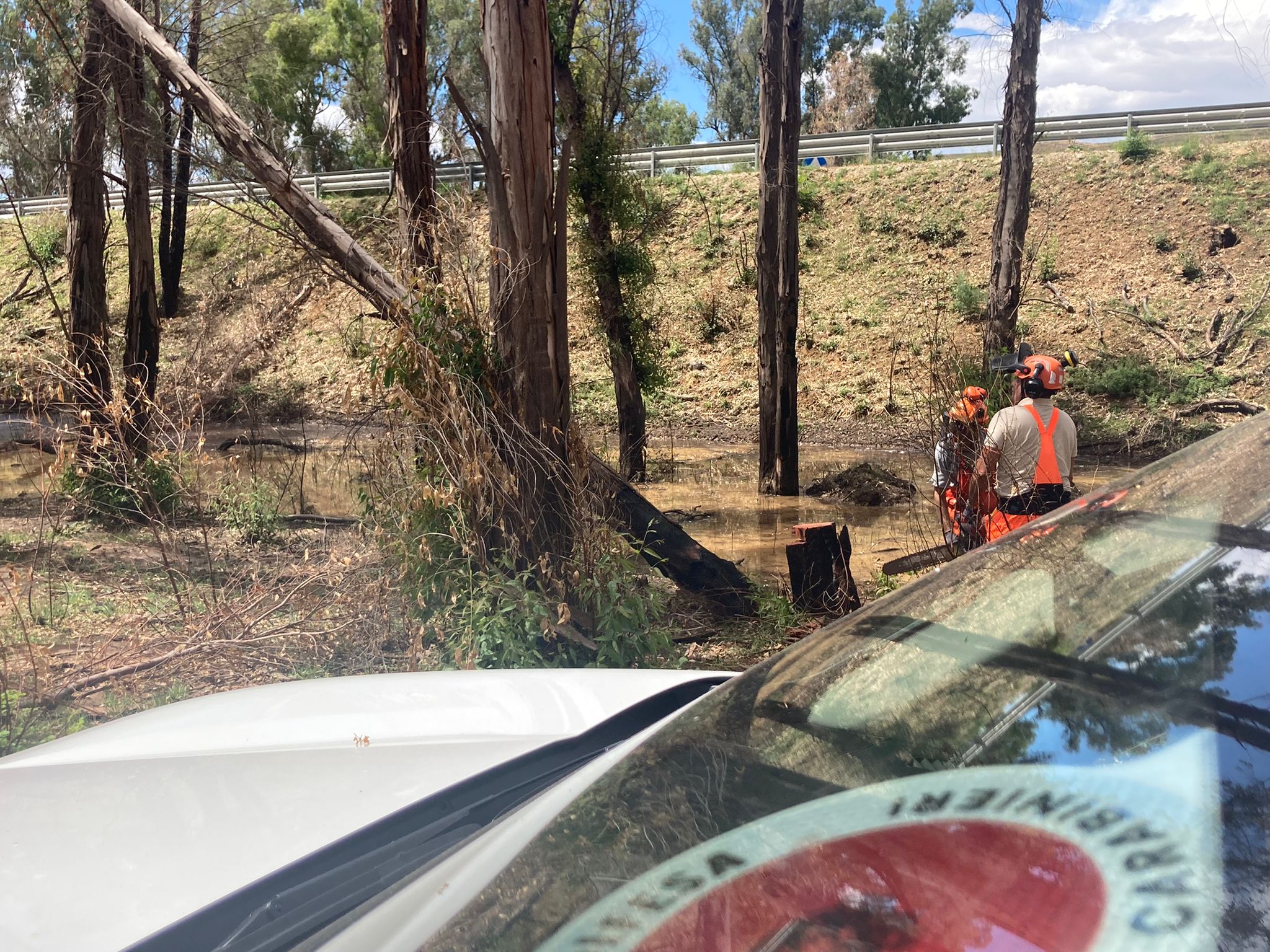 Carabinieri forestali a lavoro per bonificare i boschi di Piazza Armerina a fuoco lo scorso mese di luglio