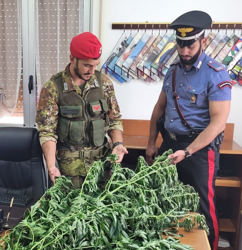 Sicilia, Carabinieri arrestano 34enne per coltivazione illegale di stupefacenti