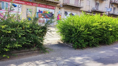 Caltanissetta, automobilista che ha causato la morte di Cimino è stato iscritto nel registro degli indagati