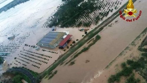 Piogge alluvionali in Sicilia, in arrivo aiuti per 14 milioni alle aziende agricole danneggiate nell’ottobre e novembre 2018
