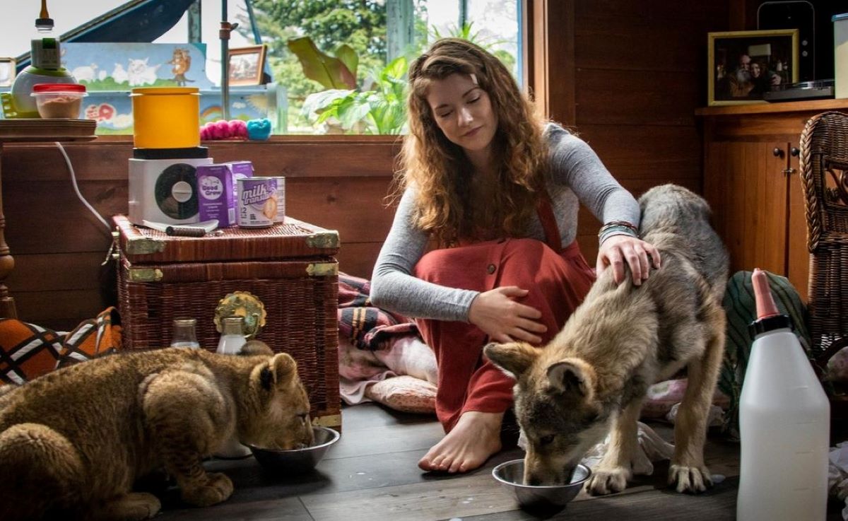 Sommatino. Stasera al Parco “Falcone – Borsellino” c’è “Cinema Sotto le Stelle” con il film “Il Lupo e il Leone”