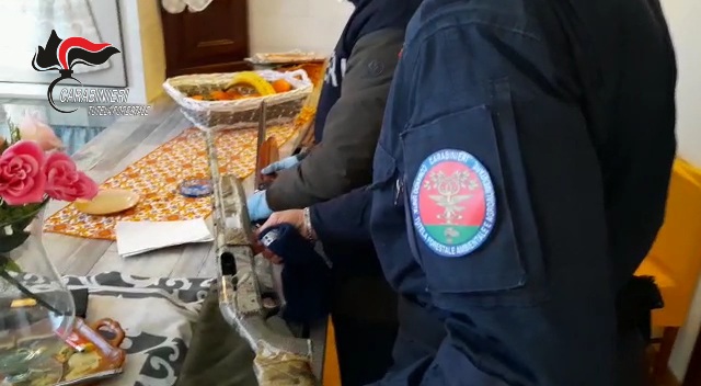 Sicilia, uccisione cicogna bianca: due indagati nel trapanese