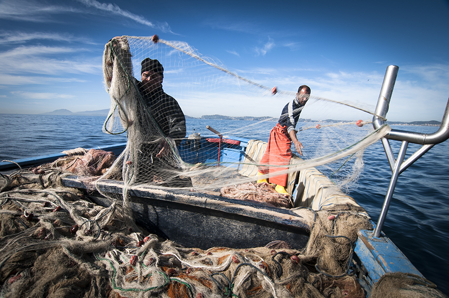 Ugl: “La pesca siciliana strozzata da caro gasolio e import selvaggio. Governo sblocchi sostegno economico per 10 milioni”