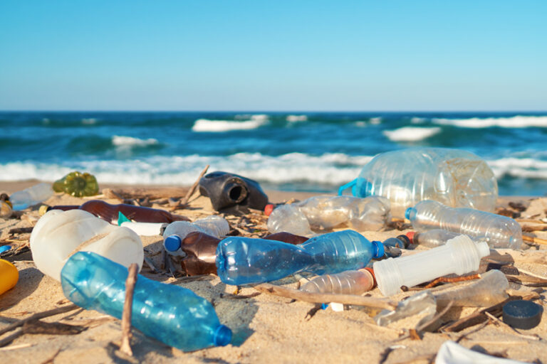 Mare senza plastica: arriva l’app per aumentare il rispetto dell’ecosistema